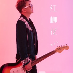 Album 红柳花 from 张利志