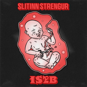 Jökull Logi的专辑Slitinn strengur