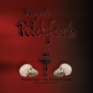 收听Project Pitchfork的One Million Faces (Remastered)歌词歌曲
