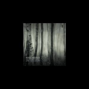 Listen to Unexpected Territory song with lyrics from Pavol Bereza