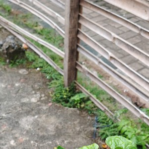 Album Setiap detik ku menunggumu from Tomblok