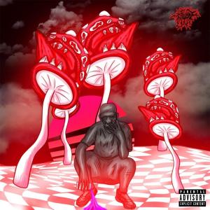 Album WavyWeb (Explicit) from 4k$NOW