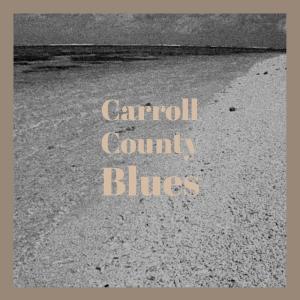 Listen to Carroll County Blues song with lyrics from Clint Howard