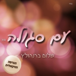 Listen to עם סגולה (ווקאלי) song with lyrics from שלום ברנהולץ