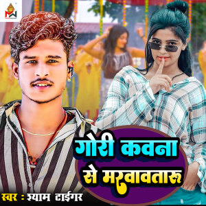 Album GORI KAWNA SE MARWAWA TARU from Shyam Tiger