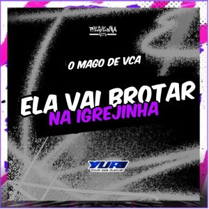 收聽YURI DAS PLAYLIST的Ela Vai Brotar na Igrejinha (Explicit)歌詞歌曲