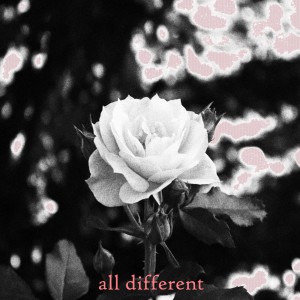 Listen to All Different song with lyrics from Loky