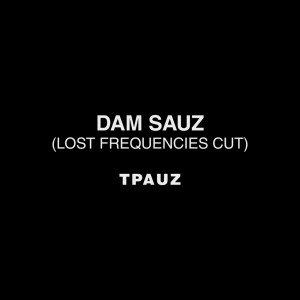 Listen to Dam Sauz (Lost Frequencies Extended Cut) song with lyrics from Tpauz
