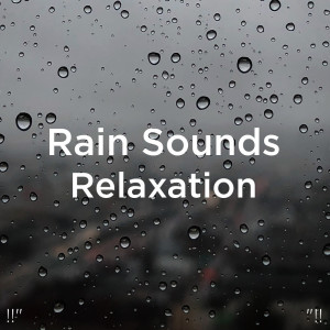 收聽Rain Sounds的環境聲音歌詞歌曲