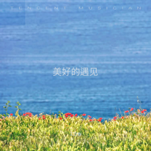 王立春的专辑美好的遇见