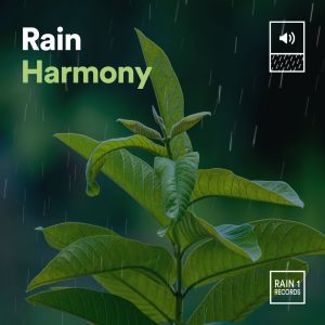 Yoga Rain的專輯Rain Harmony