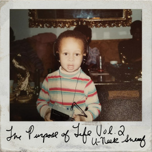 Album The Purpose of Life Vol. 2 from 
