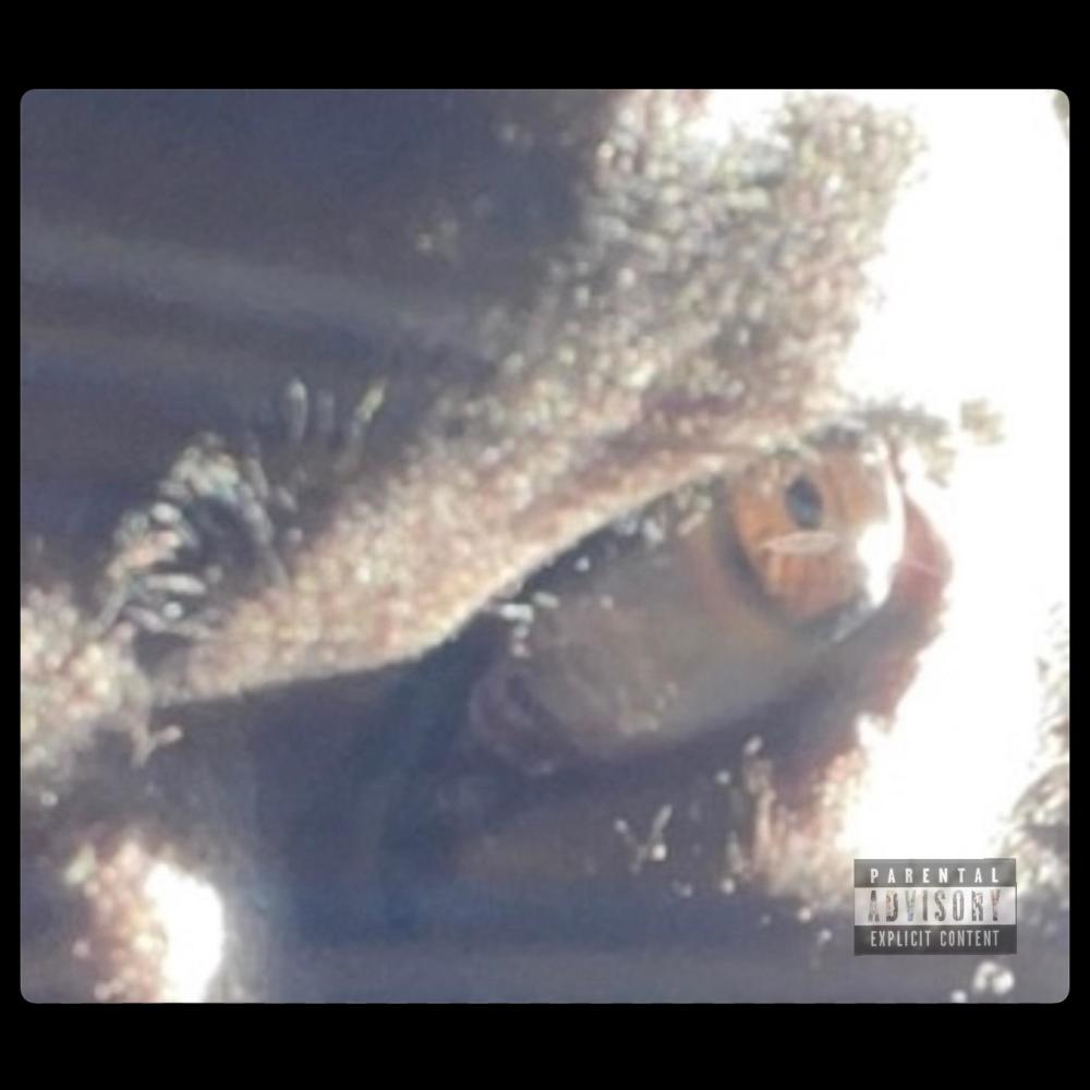 MANUMISSION (Explicit)