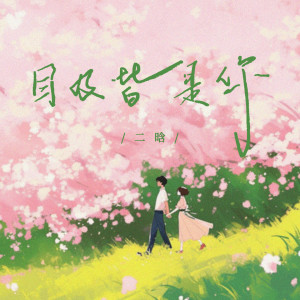 Album 目及皆是你（深情版） from 二晗