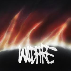 ดาวน์โหลดและฟังเพลง WiLDFiRE (Explicit) พร้อมเนื้อเพลงจาก Fish Narc