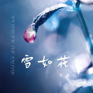 Listen to 雪如花 (伴奏) song with lyrics from 张赢心