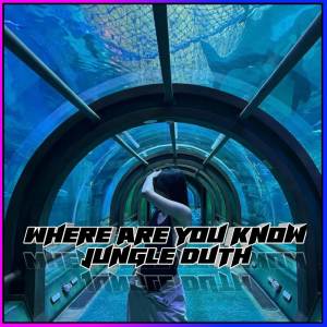 Album WHERE ARE YOU NOW MASHUP JUNGLE DUTH from RAHMAT AHAY