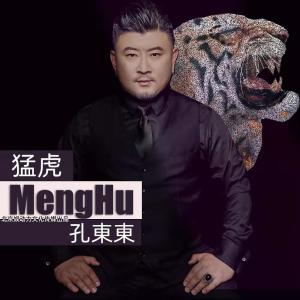 Album 猛虎 from 孔东东
