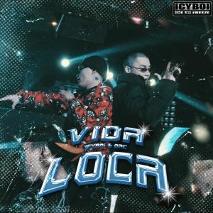 Oac的专辑VIDA LOCA (feat. OAC) (Explicit)