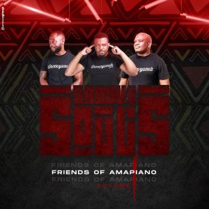 Groovysouls的專輯Friends of Amapiano