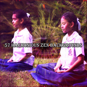 57 Harmonious Zen Backgrounds