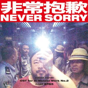 Never Sorry dari 左小祖咒