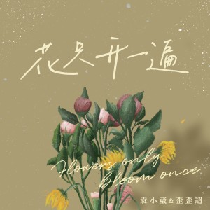 Album 花只开一遍 from 袁小葳