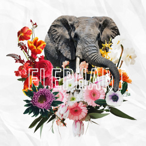 Listen to Elephant song with lyrics from Darby