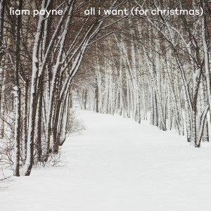 收聽Liam Payne的All I Want (For Christmas)歌詞歌曲