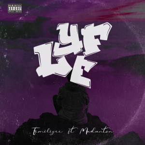 Listen to LYFE (Explicit) song with lyrics from FEMILIZE