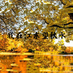 Listen to 少年狂 song with lyrics from 王沫