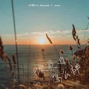 Listen to 你最近怎么样 song with lyrics from 小好14