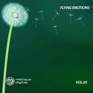 Album Flying Emotions (Vol. 5) oleh Various