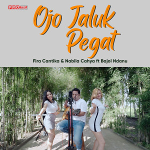 Dengarkan Ojo Jaluk Pegat lagu dari Fira Cantika dengan lirik