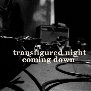 ดาวน์โหลดและฟังเพลง Coming Down พร้อมเนื้อเพลงจาก Transfigured Night