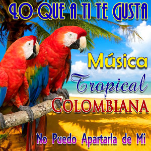 收聽Los Soneros del Caribe的Refrán Sobre Refrán歌詞歌曲