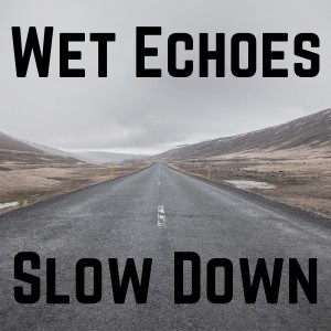 ดาวน์โหลดและฟังเพลง Slow Down พร้อมเนื้อเพลงจาก Wet Echoes