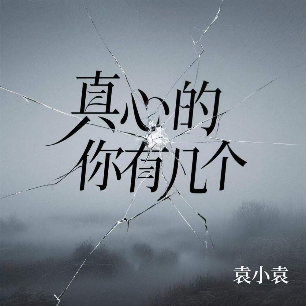 真心的你有几个 (DJ浩然版)