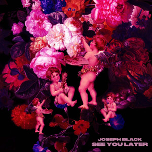 收聽Joseph Black的see you later (Explicit)歌詞歌曲