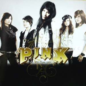 收聽Pink的ผู้หญิงนิสัยไม่ดี歌詞歌曲