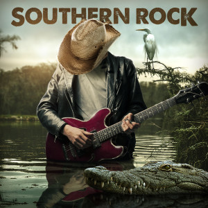 Album Southern Rock oleh Various