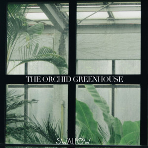 Swallow的专辑THE ORCHID GREENHOUSE