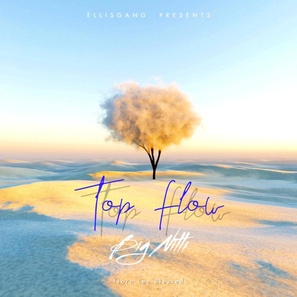 Top Flow (Explicit)