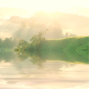 Listen to Sono song with lyrics from Música De Relajación Para Dormir Guru