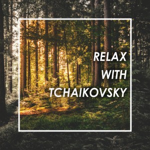 ดาวน์โหลดและฟังเพลง Tchaikovsky: The Nutcracker (Suite) , Op. 71a, TH. 35 - IIb. Danse de la fée-Dragée (Andante non troppo) พร้อมเนื้อเพลงจาก Berliner Philharmoniker