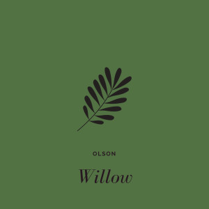 Listen to Willow song with lyrics from Olson