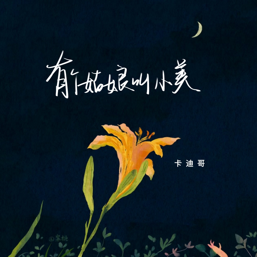 有个姑娘叫小美 (伴奏)