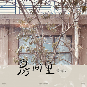 Album 房间里 from 黄新淳