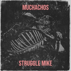收聽Struggle Mike的Pus (Explicit)歌詞歌曲