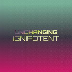 อัลบัม Unchanging Ignipotent ศิลปิน Various